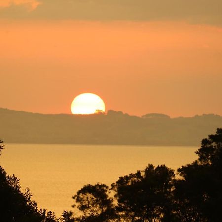 Waiotahi Valley Lodge 템스 외부 사진