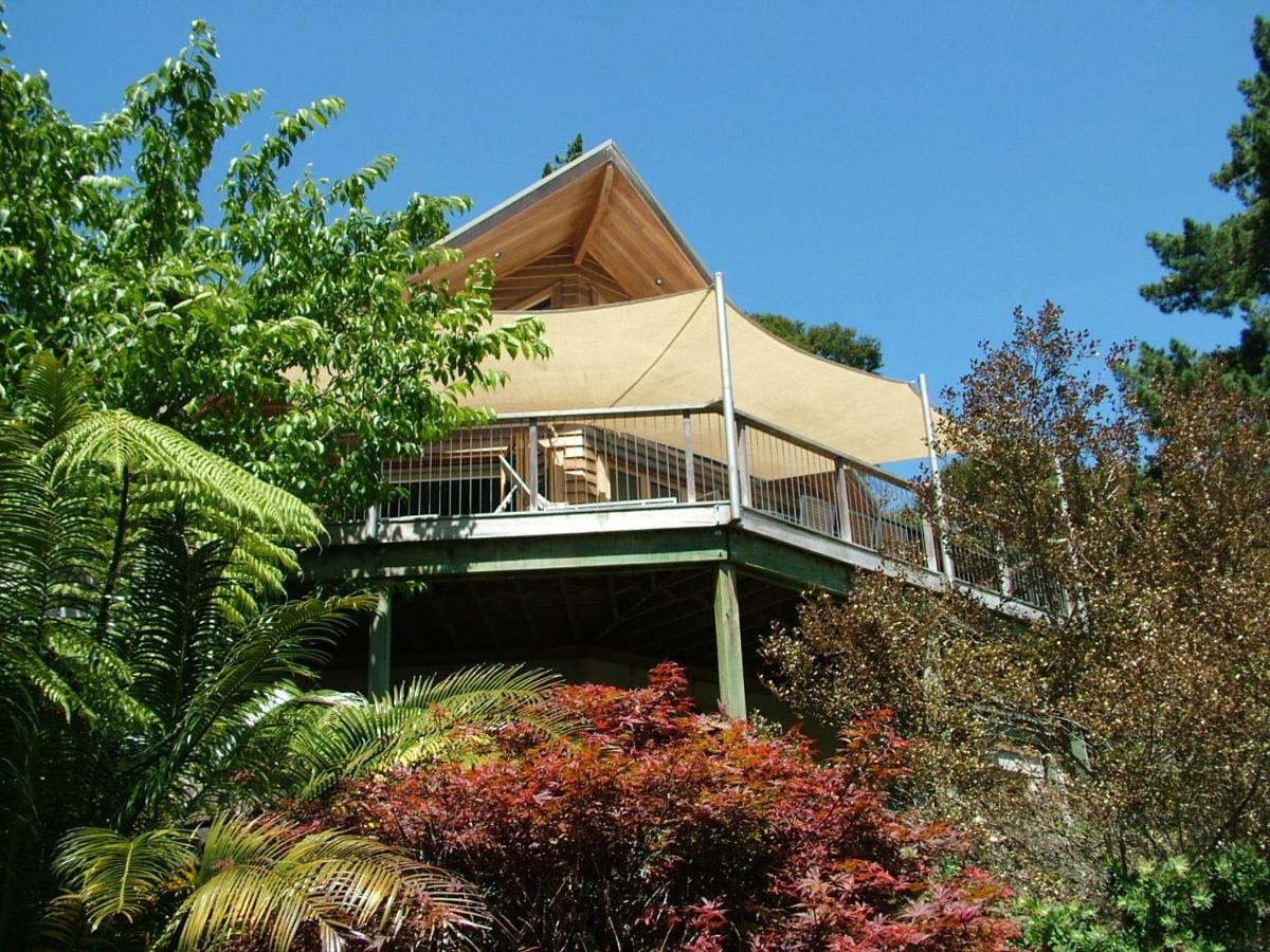 Waiotahi Valley Lodge 템스 외부 사진